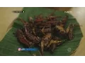 Download Lagu Uniknya Rasa Belalang dan Jangkrik Gathot Tiwul Yu Tum - OK FOOD Episode 57