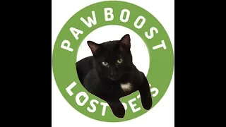 Search for Misty Gal V PAWBOOST ID 71020526 Sunday January 19 2025 40843 PM