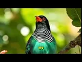 Download Lagu Kasih-Mu Menyertai | Kasih | Lagu Rohani Kristen Terbaru 2025 