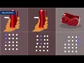 Mastering Crystallography Exploring Defects And Dislocations