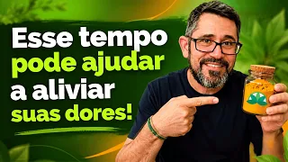 Esse tempero pode ser a resposta para auxiliar no alívio das dores.