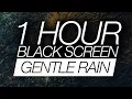 Download Lagu 1 Hour Gentle Rain Sounds For Sleeping (Black Screen) - Relaxing 432Hz Sleep Meditation Music