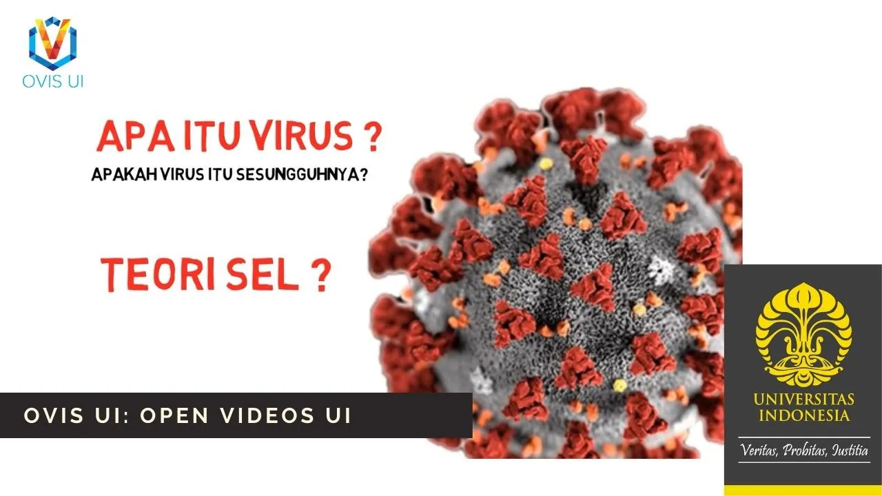 Bagaimana virus corona menyerang tubuh kita? Mungkin itu jadi pertanyaan kita semua. Kita udah tau g. 