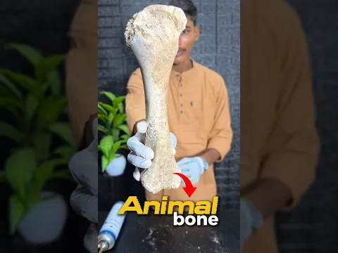 इस हड्डी को गला दूंगा![ Piranha solution] 😲🦴✅️ #shorts #chemistry