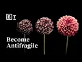 Download Lagu Don’t chase happiness. Become antifragile | Tal Ben-Shahar | Big Think