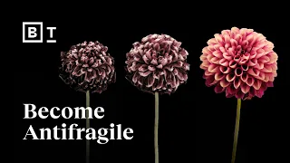 don t chase happiness become antifragile tal ben shahar big think