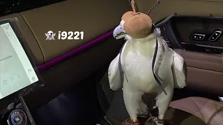 خسارة سنيني   لاتجرب الحب عندي   ناصر المنصوري دندنها