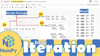 Python NumPy Looping Through Each of the Elements in a Multi Dimensional Array Python for Beginners