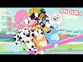 Download Lagu Bluey Seasons 1 and 2 FULL EPISODES 💙 Baby Race, Movies, Seesaw and more! | Bluey