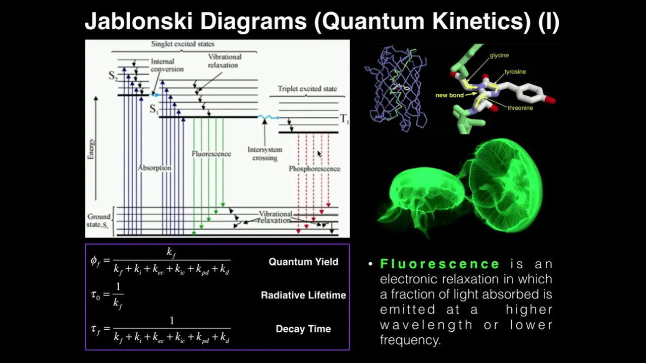 Kinetics: Quantum Yield & Jablonski Diagrams