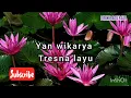 Download Lagu Yan wikarya tresna layu ( lirik lagu bali video )