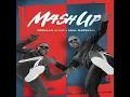 Mash Up - Erphaan Alves & Shal Marshall