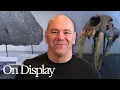 Inside Dana White s Insane Office 2 Million Card Collection Rare Memorabilia On Display