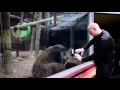 Magic trick amazes Orangutan