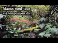 explore pedalaman hutan belantara | bertemu macan tutul jawa langka