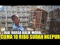 Download Lagu GA TEGA ! LIAT KIOS PAKDE INI JUAL RATUSAN BURUNG OMBYOKAN SEMURAH INI DIKIOS PASAR BURUNG PRAMUKA
