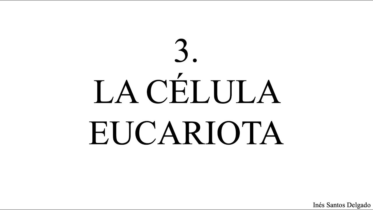 3. La célula eucariota