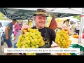 Download Lagu Sajam u Benkovcu (09/25). Odlična Ponuda Večer Uoči Sajma (09/25).