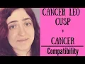 Cancer Leo Cusp Cancer - COMPATIBILITY