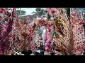 El Salvador celebrates its Flower and Palm festival