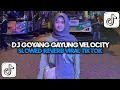 Download Lagu DJ GOYANG GAYUNG VELOCITY SLOWED REVERB VIRAL TIKTOK TERBARU FULL SONG