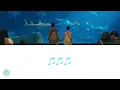 Accusefive (告五人), Huai Yun Chan (詹懷雲), Chiang Chi (江琪) - I Was Born (我天生) (Lovesick OST || 有病才會喜歡你)
