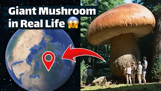I found Giant Mushroom on Google Earth and Google Maps