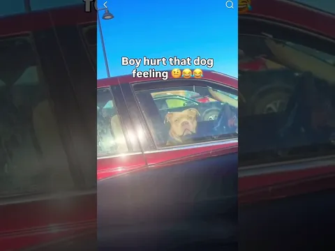 Hurt the dog feeling #highway #car #driver #power #autobahn #supercars #speed #drifting #4x4 #4wd