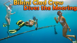 Bikini Clad Crew Dives the Mooring – S7:E14