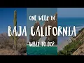 Download Lagu Baja California Travel Guide: Everything You Need to Know