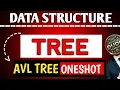 AVL TREE ONESHOT DATA STRUCTURE WHAT IS AVL TREE Engineerdude-g6m