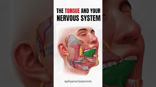 1 Minute Tongue Trick To Relax Your Nervous System Ease Chronic Pain  1 Minute Tongue Trick To Relax Your Nervous System Ease Chronic Pain