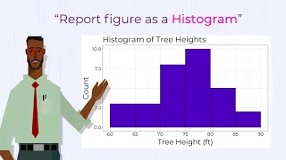 Scatter plots or histograms Why data visualization is important