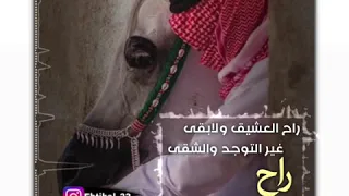 شيلة راح العشيق ادا عبد الكريم الحربي 