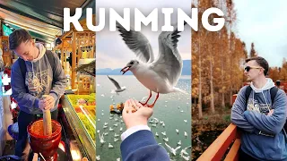中国云南昆明贵吗？24小时旅行花费与体验