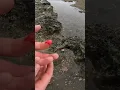Human vs The most powerful punch