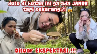 ‼️TERNYATA HUTAN INI PENUH JAMUR LIAR, REJEKI BANGET‼️DILUAR EKSPEKTASIKU‼️
