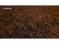 Download Lagu System Of A Down - Lost In Hollywood live (HD/DVD Quality)