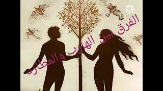 فيديو لكل اللي سأل ازاي اعرف انا هارب ولا مطارد ف العلاقه دندنها