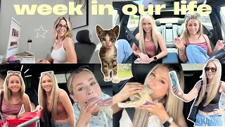WEEK IN OUR LIFE ⭐️ 9-5 Work Days, Taco Bell + Car Chats, Target Runs, New Kitten + Getting REAL!