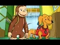 Download Lagu Curious George 🐵Camping with Hundley 🐵Full Episode 🐵 HD 🐵 Videos For Kids