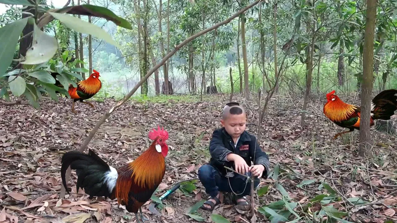 Gà Rừng Nướng Bí Ngô - Mao Đệ Đệ Bẫy Gà Bằng Cây rừng Cực Đỉnh