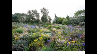 Noel on the future of ecological planting design