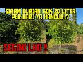 Lagu 🟢🔴 SIRAM DURIAN 20 LITER PER HARI BISA SUBUR..⁉️ AH TEORI...💯‼️