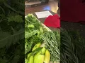 Foraging for greens from your garden and the forest is healthier than grocery store food