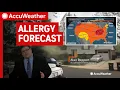 2026 Allergy Forecast When Will Pollen Be Bad Across the US