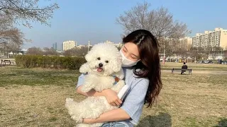 اغنيه الو الو تيك توك 