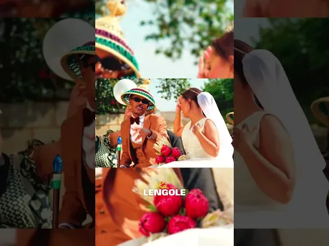 12. REEL - HD -1 -265 - (CAPTION)