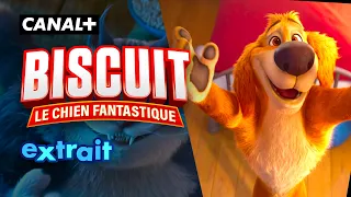 Un super-héros est né… et son pire ennemi aussi ! 🐶🐱⚡ - Biscuit le chien fantastique - CANAL+Kids