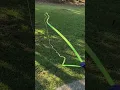 ZipString Luma Glow in dark toy